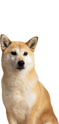 Kyra — Chief Happiness Officer