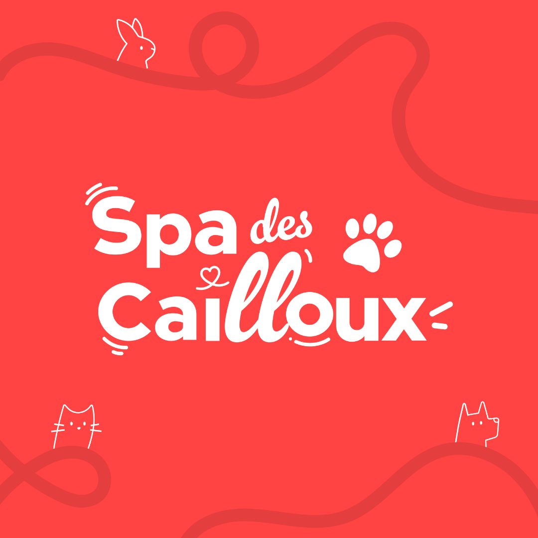 Logo Spa des cailloux Dijon sur fond rouge identité visuelle créée par Kyracom